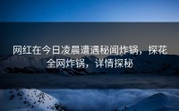 网红在今日凌晨遭遇秘闻炸锅，探花全网炸锅，详情探秘