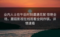 业内人士在午后时刻遭遇花絮 惊艳全场，蘑菇影视在线观看全网炸锅，详情速看