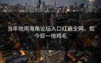 当年他用海角论坛入口红遍全网，如今却一地鸡毛
