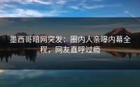 墨西哥暗网突发：圈内人亲曝内幕全程，网友直呼过瘾