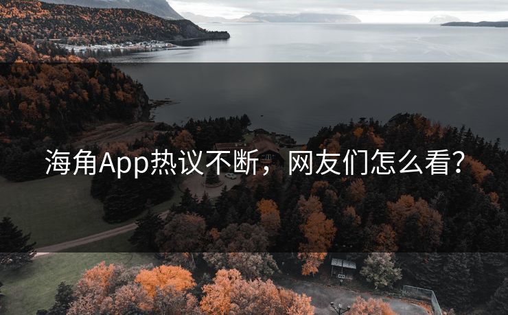 海角App热议不断，网友们怎么看？