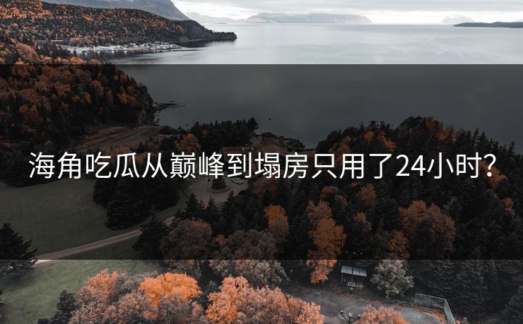 海角吃瓜从巅峰到塌房只用了24小时？