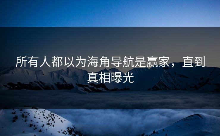 所有人都以为海角导航是赢家，直到真相曝光