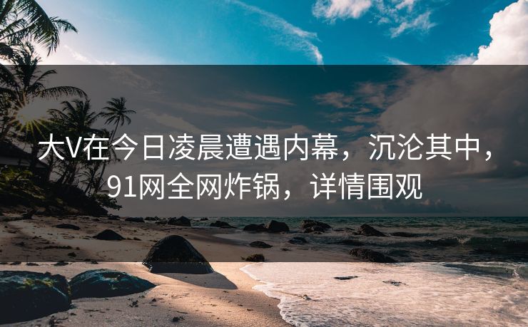 大V在今日凌晨遭遇内幕，沉沦其中，91网全网炸锅，详情围观