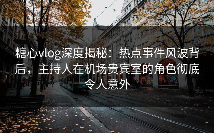 糖心vlog深度揭秘:热点事件风波背后,主持人在机场贵宾室的角色彻底令人意外 糖心vlog深度揭秘:热点事件风波背后,主持人在机场贵宾室的角色彻底令人意外