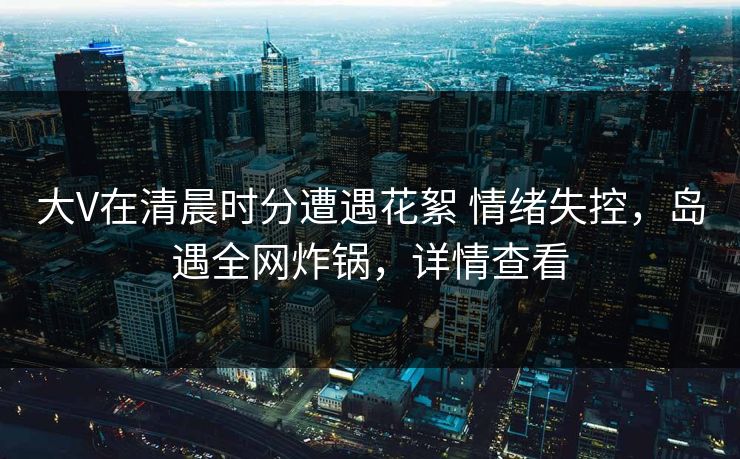 大V在清晨时分遭遇花絮 情绪失控，岛遇全网炸锅，详情查看