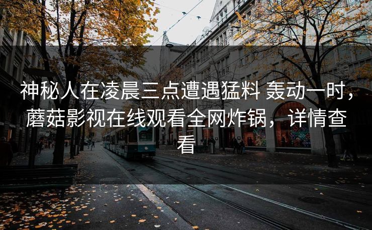 神秘人在凌晨三点遭遇猛料 轰动一时,蘑菇影视在线观看全网炸锅,详情查看 神秘人在凌晨三点遭遇猛料 轰动一时,蘑菇影视在线观看全网炸锅,详情查看